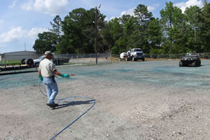 utility vegetation management