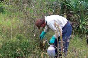aquatic weed control