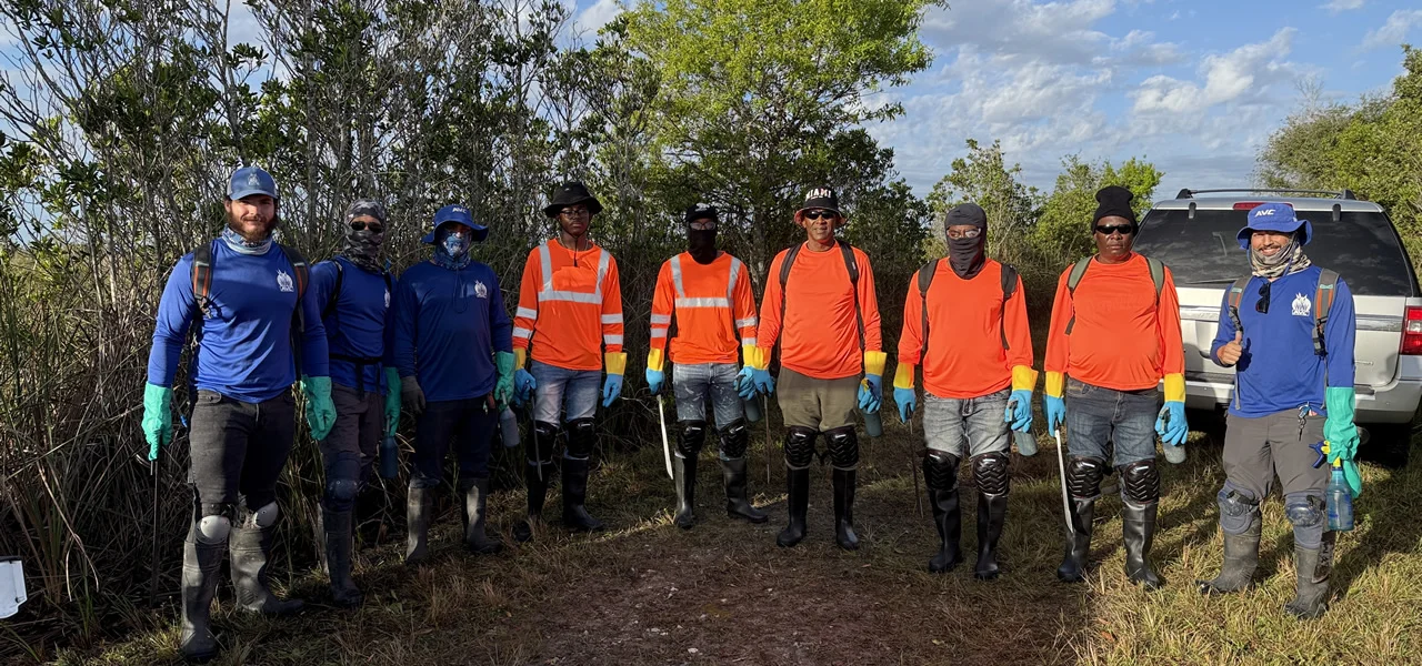 vegetation control companies