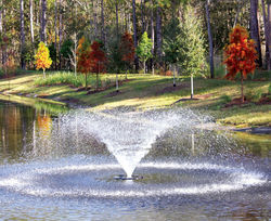lake management
