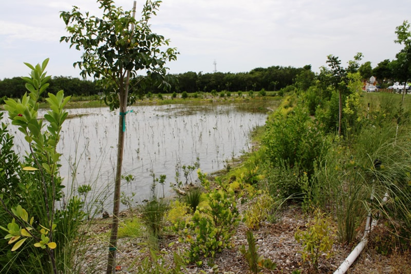 Sheridan St. Mitigation Project